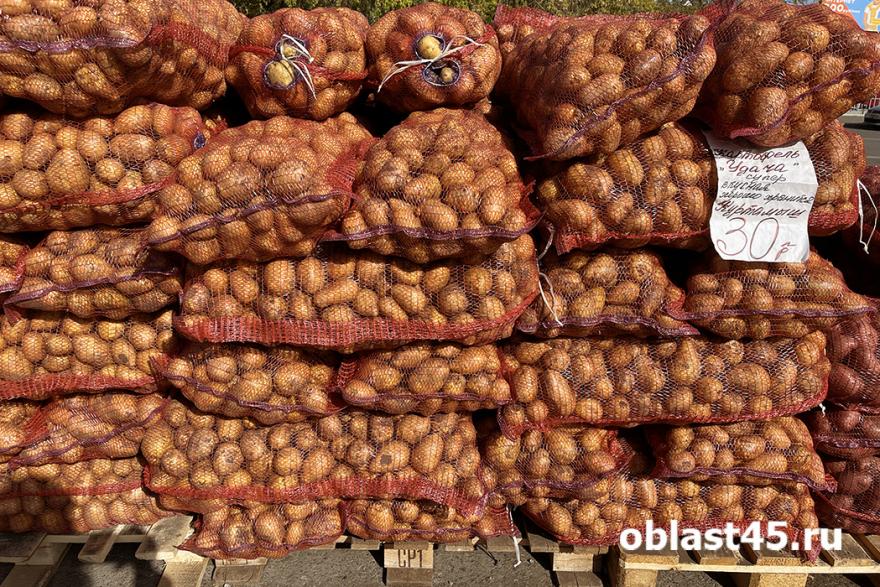 В Курганской области планируют собрать 178 тысяч тонн картофеля