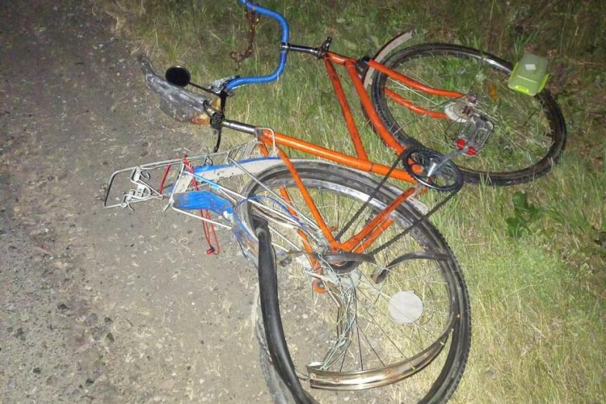 Под Шадринском погиб велосипедист
