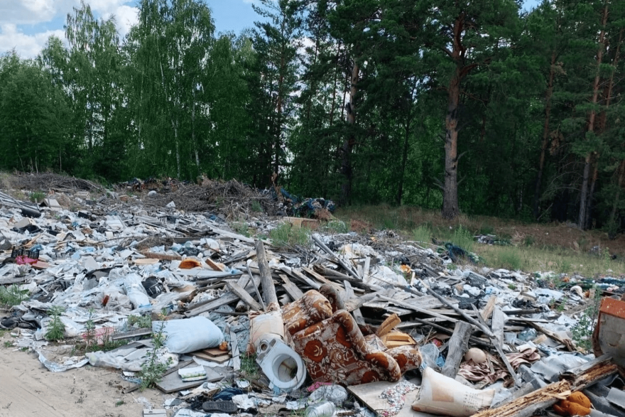 В Курганской области на уборку свалки выделили более 28 млн рублей