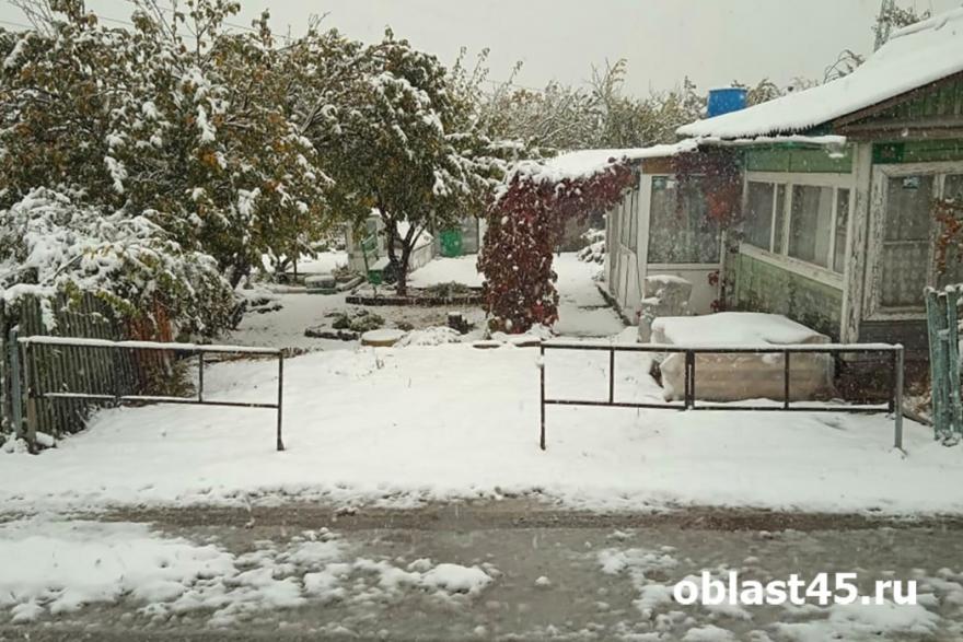 Курганских соседей завалило снегом