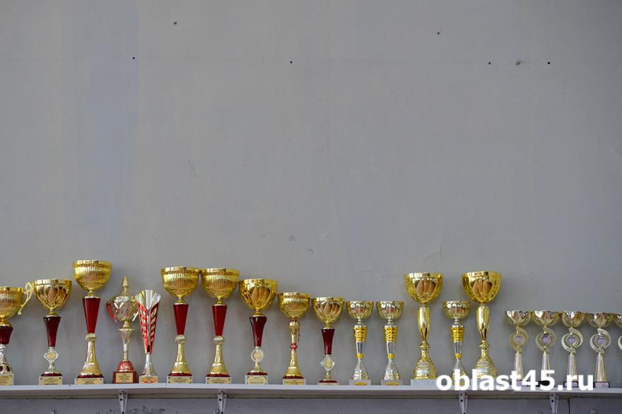 Курганский школьный спортивный клуб стал призёром всероссийского конкурса