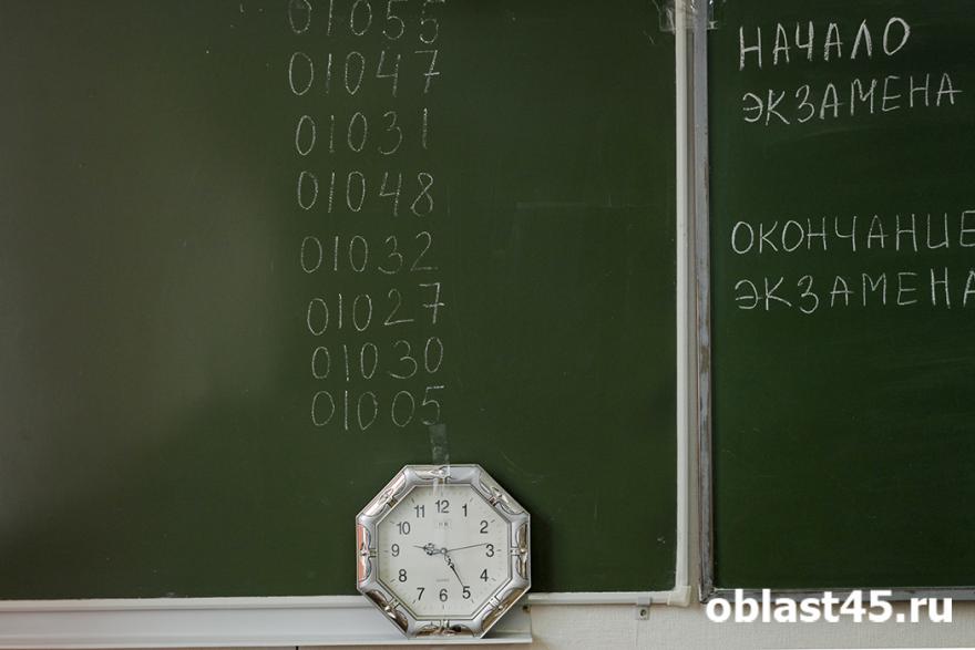В Кургане родители и преподаватели напишут ЕГЭ по русскому языку 