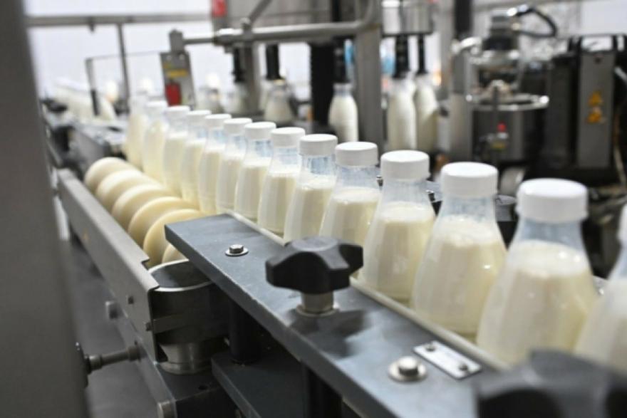 Искусственный интеллект в Кургане выявил нелегальное молоко