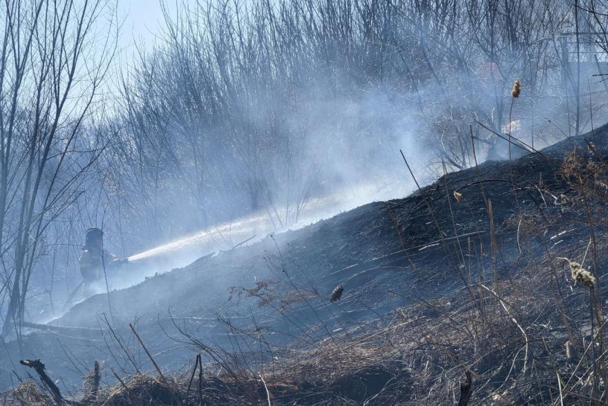 Область 45 курган последние новости на сегодня. Пожар в энергетике. Пожары в Курганской области сегодня. Сгоревший лес Курган. Кропани пожар Курганская область.
