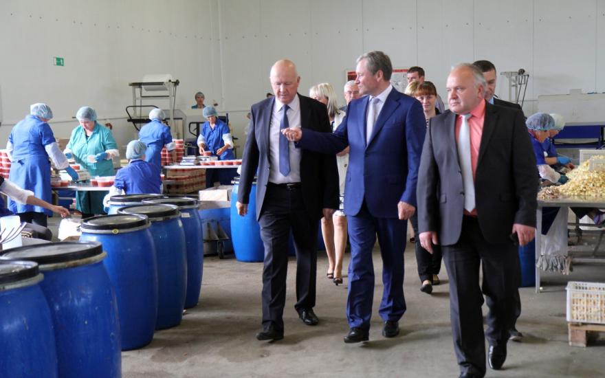 В Каргапольском районе к 2016 году собираются увеличить производство нефрасов