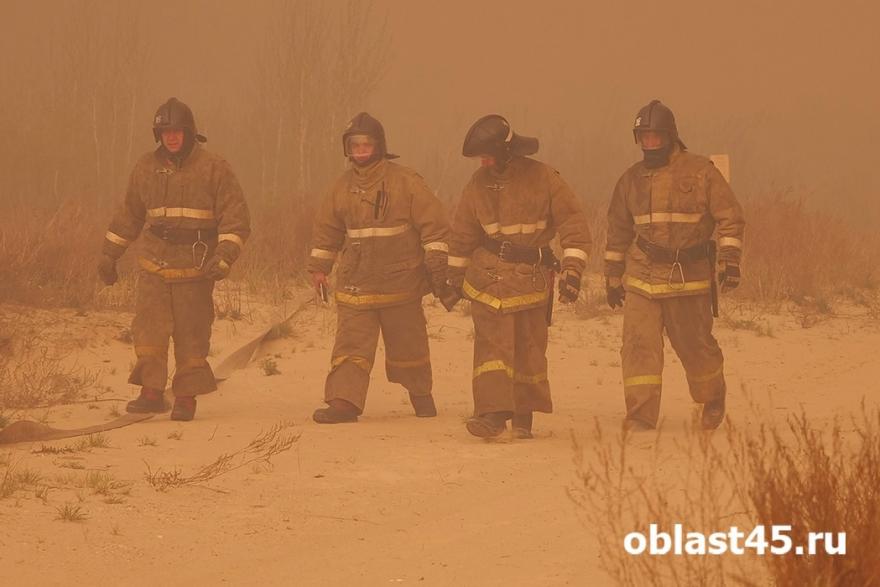 С начала пожароопасного сезона в Зауралье потушили почти 300 ландшафтных пожаров