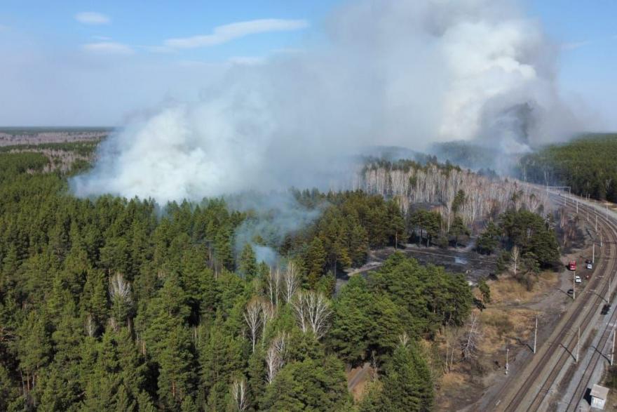 Курганский губернатор раскрыл подробности страшного пожара в Логоушке