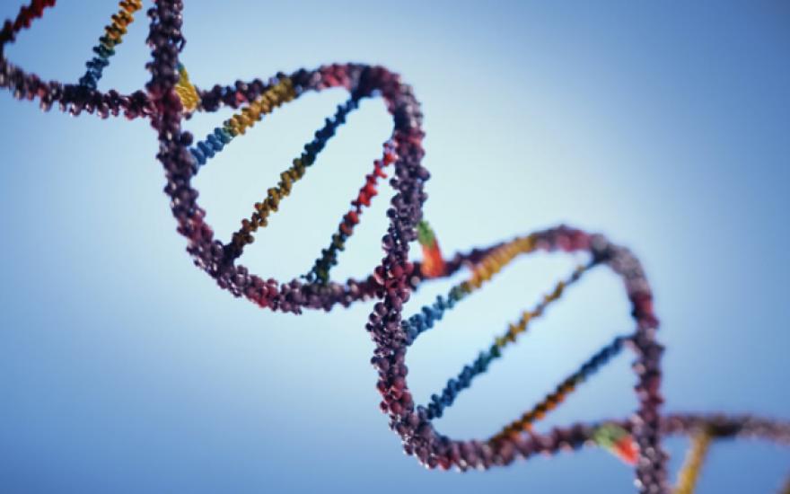 День в истории: 30 лет назад ученые открыли уникальность ДНК