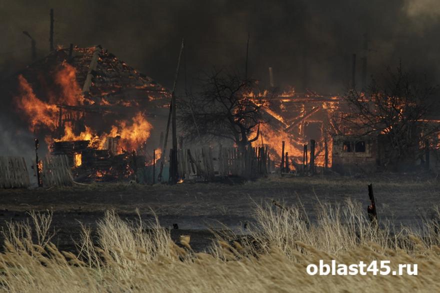 В Курганской области нашли виновников крупных ландшафтных пожаров