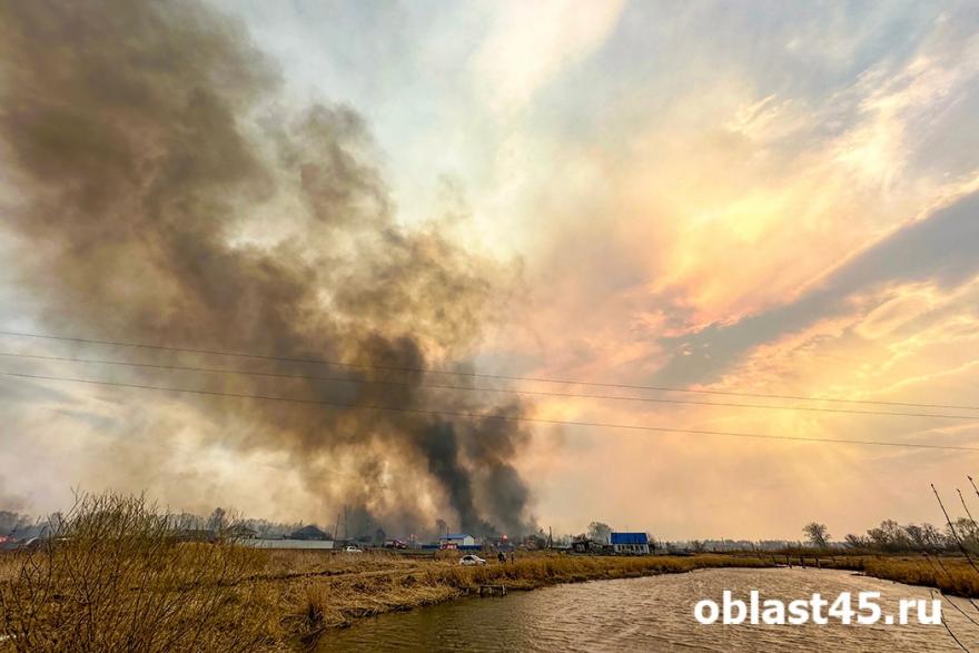 Режим ЧС и сгоревшие питомцы: огненные выходные в Курганской области