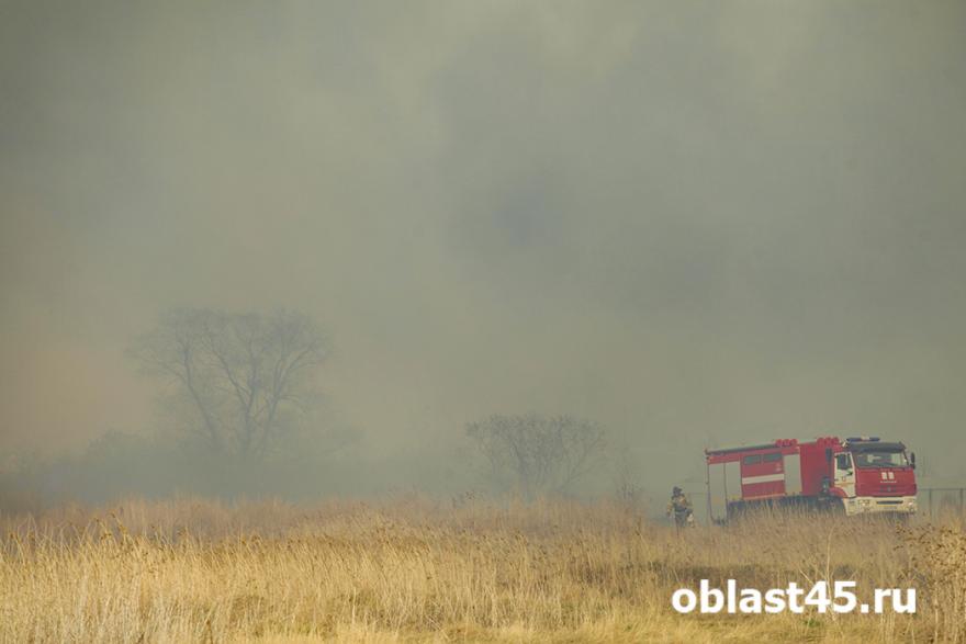 В Курганской области огнеборцы защищают село Озёрное 