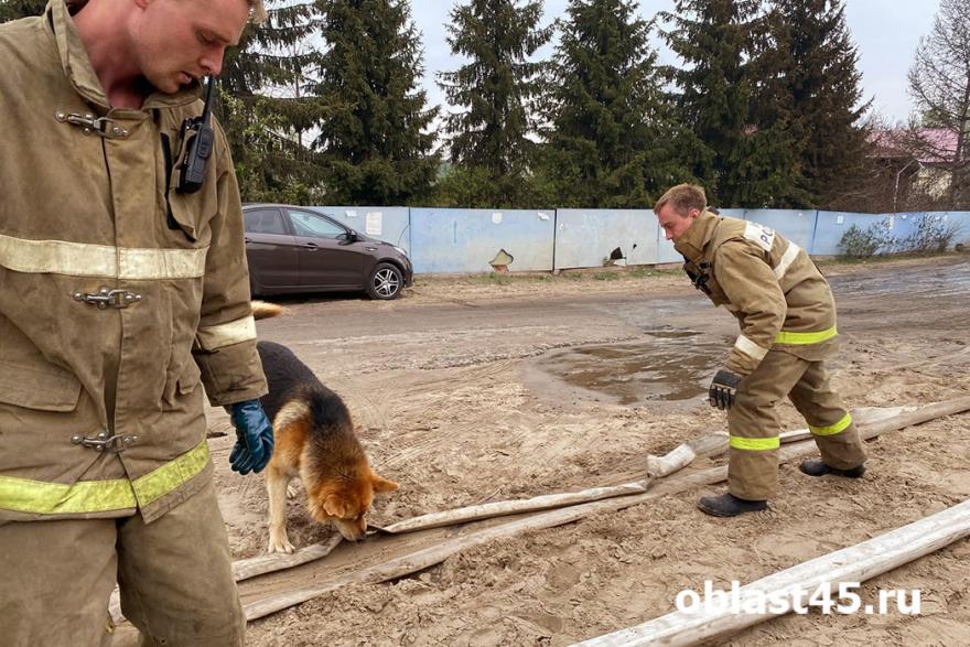 Губернатор Шумков о пожарной ситуации: нам нужны добровольцы