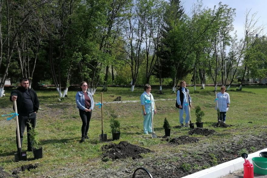В Далматове высадили именные деревья в честь родившихся малышей 
