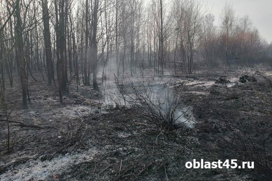 В Каргапольском округе жителей села предупредили об эвакуации из-за пожара 