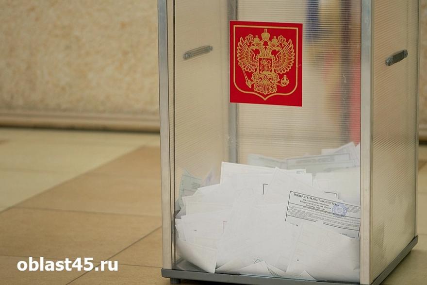 В Белозерском округе пройдут дополнительные выборы в окружную думу