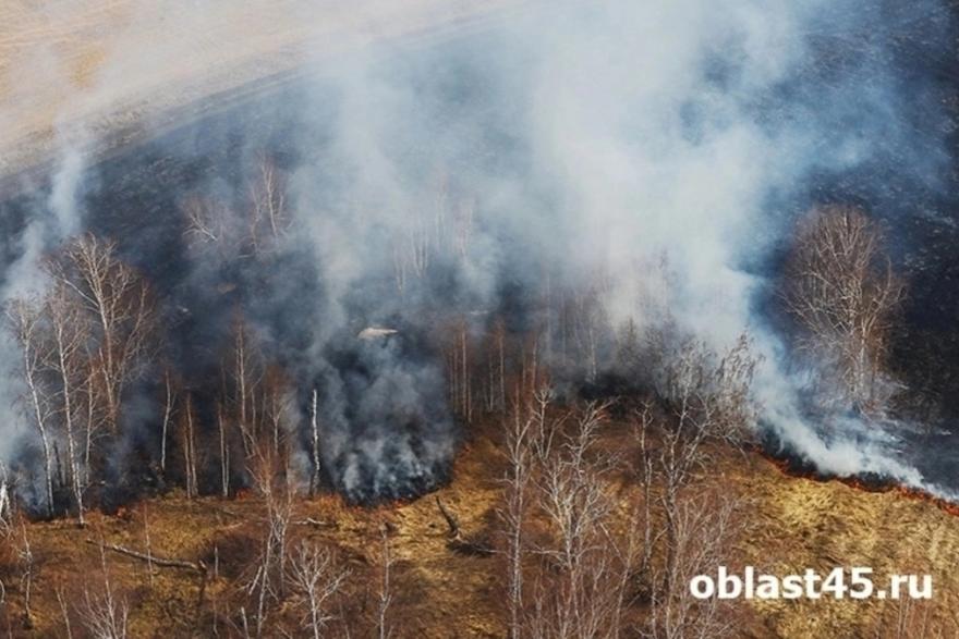 В Курганской области пожарные потушили лесной пожар