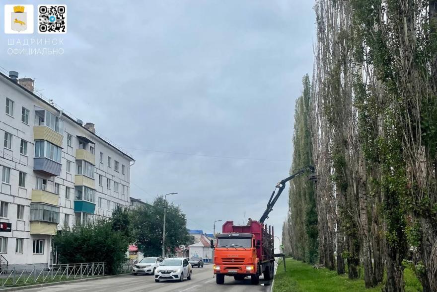 В Шадринске избавляются от аварийных деревьев 