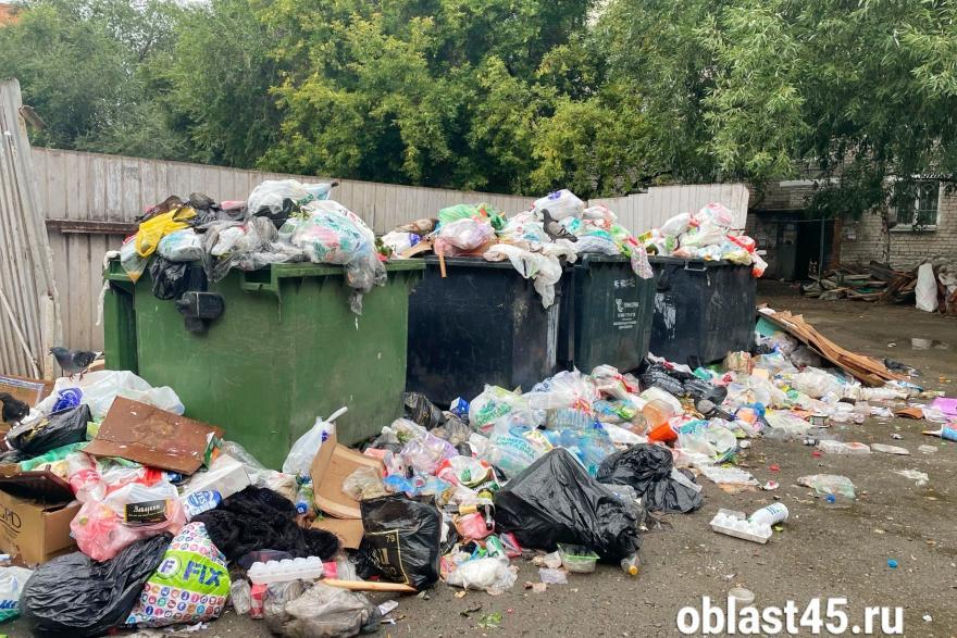Власти Кургана решают проблему вывоза мусора из «мяготинских» дворов