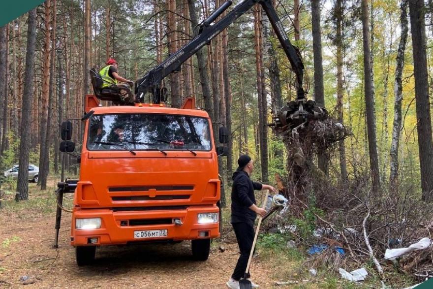Зауральцы убрали свыше 100 кубических метров мусора в лесах