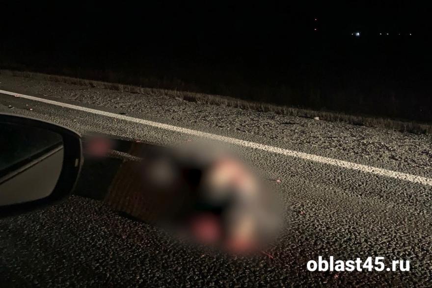 На ночной трассе в Курганской области пешеход встретил жестокую смерть