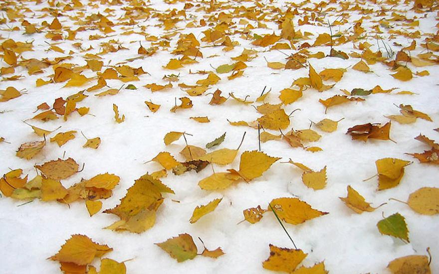 Пора менять резину: зима в Кургане наступит уже к выходным