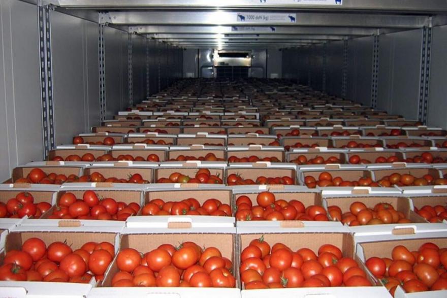 Через Курганскую область не смогли провезти 36 тонн немаркированных помидоров
