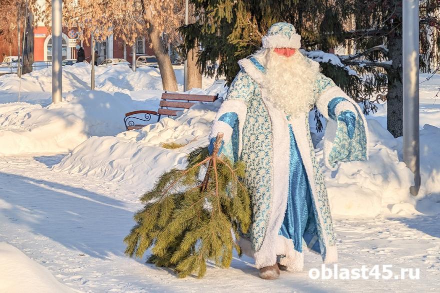 Дед Мороз показал курганцам, как правильно выбрасывать ёлку