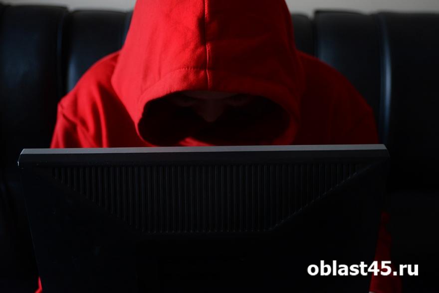 За неделю у 12 зауральцев кибер-мошенники украли более 1,5 миллиона рублей