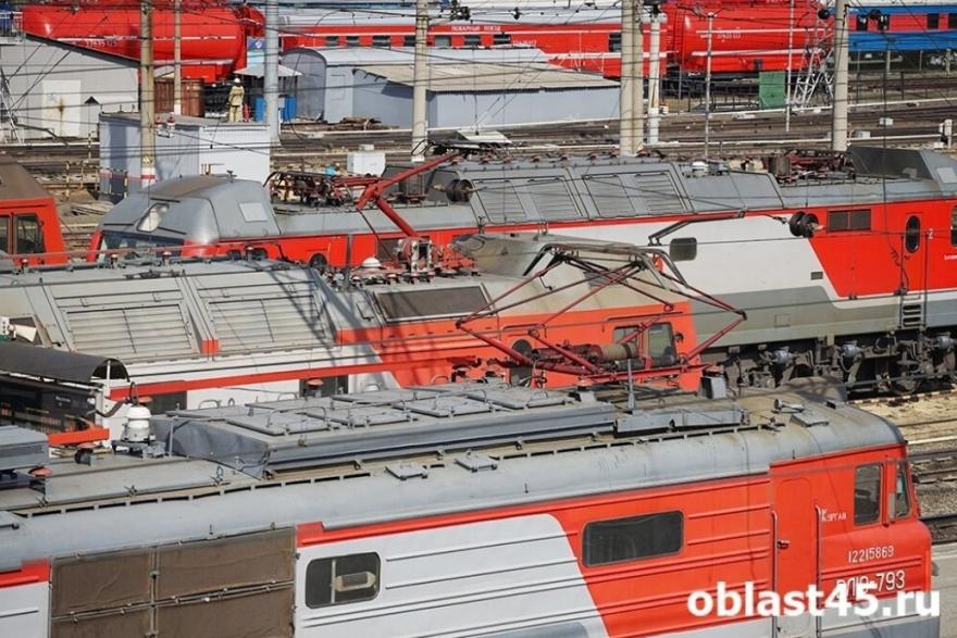 РЖД запретит проводникам высаживать хвостатых пассажиров из поезда