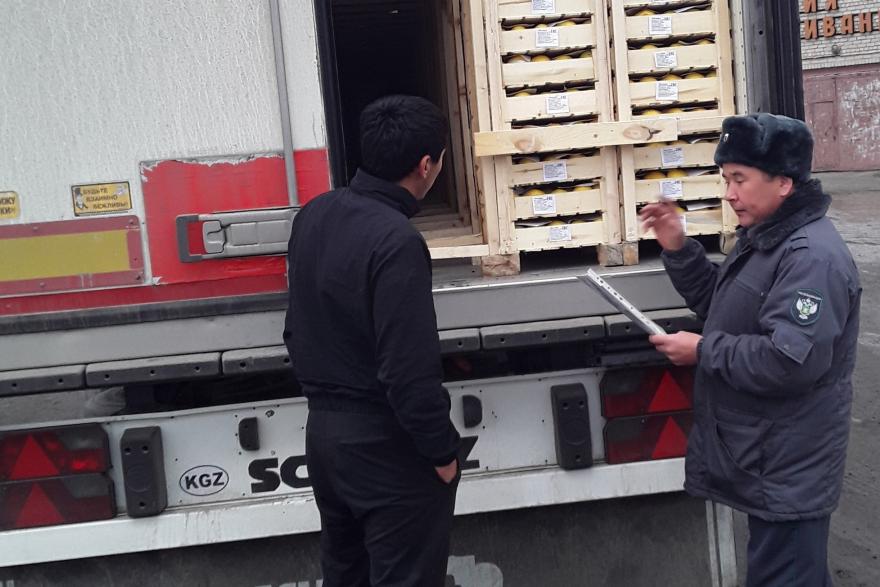 В Курганскую область не пустили тонны карантинных мандаринов и огурцов