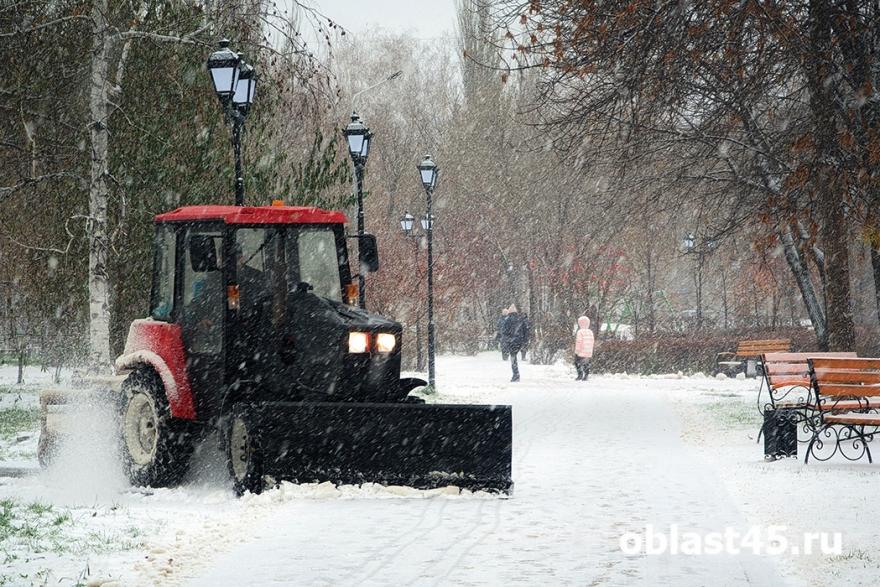 Более 30 тысяч тонн «дорожного» снега было вывезено в Кургане 