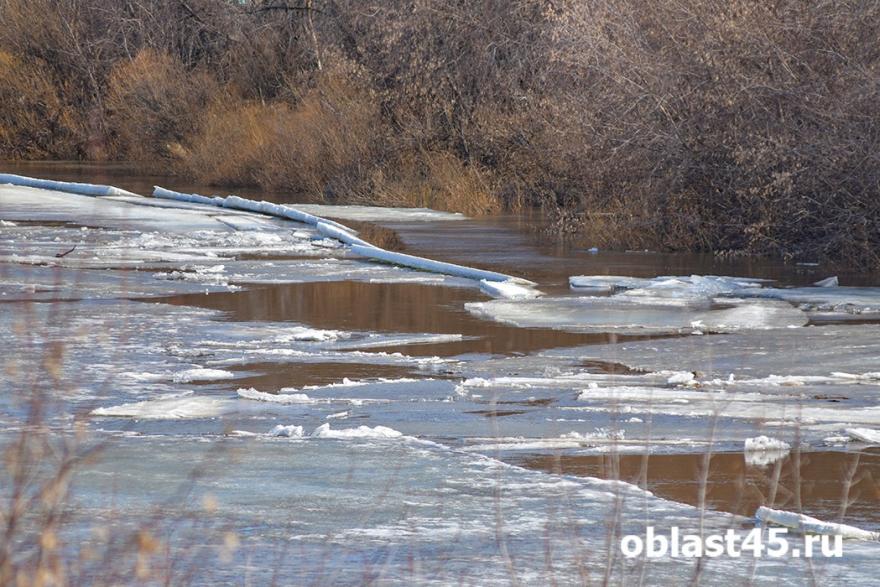 Уровень воды в Тоболе в районе Звериноголовского поднялся до 8 метров