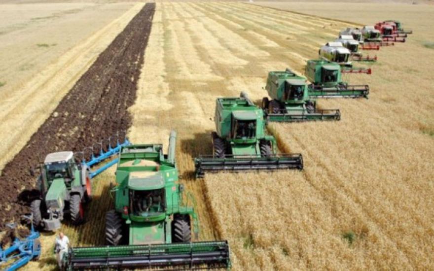Сельхозпроизводители Зауралья планируют привлечь 1 млрд рублей из федерального бюджета