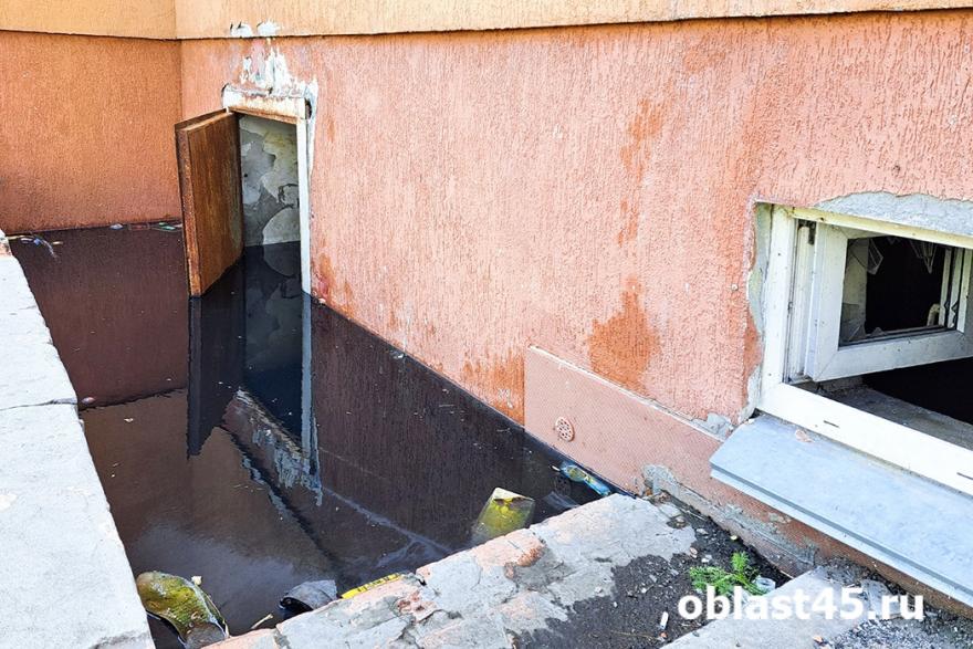 Вонь и насекомые: жители курганского дома для сирот жалуются на затопленный подвал