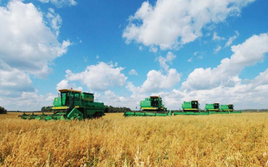 Государство выделит на развитие сельского хозяйства 185 млрд рублей, а процентные ставки по сельскохозяйственным кредитам предлагает субсидировать