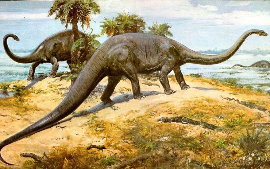 Учёные хотят вернуть травоядного динозавра