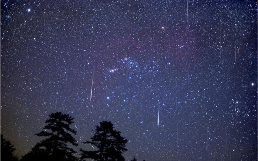 Жители нескольких городов Сибири смогут увидеть метеорный поток Лирид