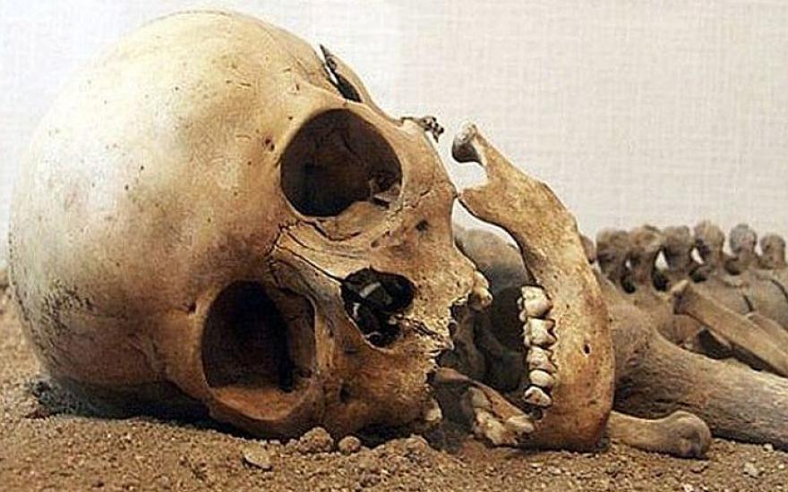 В Кургане в погребе строящегося гаража нашли человеческие скелеты