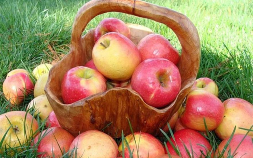 Яблочный спас - праздник, напоминающий о необходимости духовного преображения