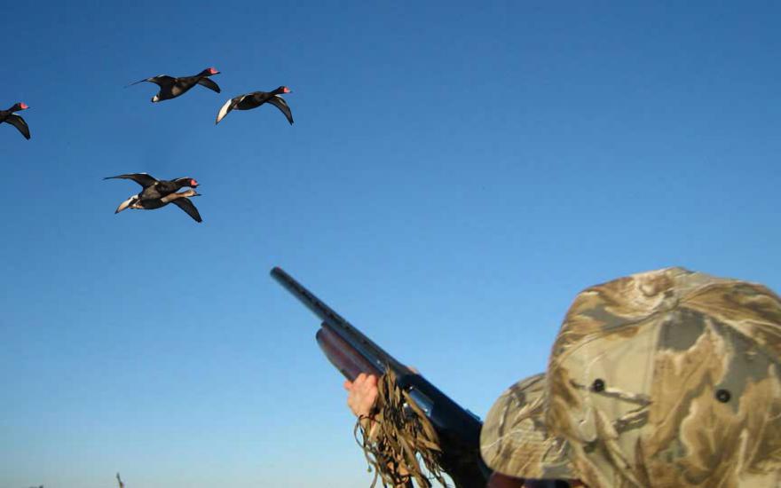В Курганской области с 29 августа открывается осенняя охота