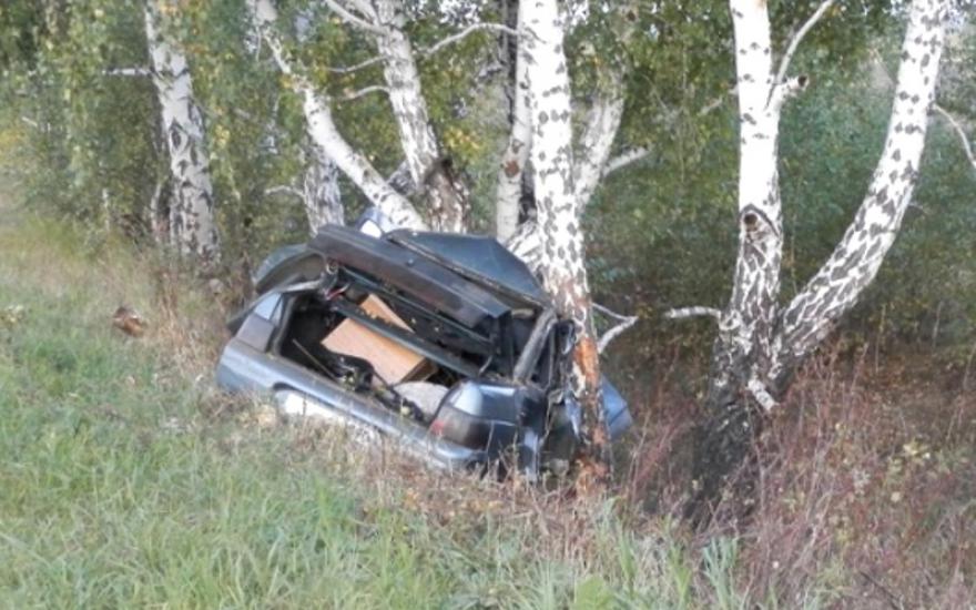  В Зауралье молодой водитель врезался в дерево и погиб