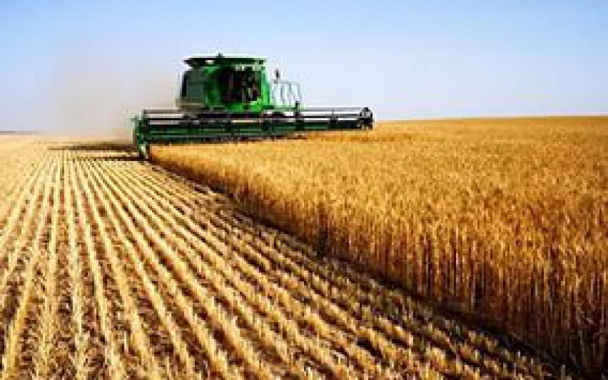 Индекс объема продукции сельского хозяйства в Курганской области составил 89,8%