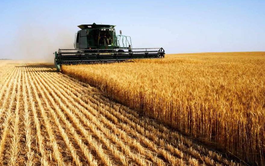Зауральских сельхозпроизводителей ждут изменения в получении субсидий
