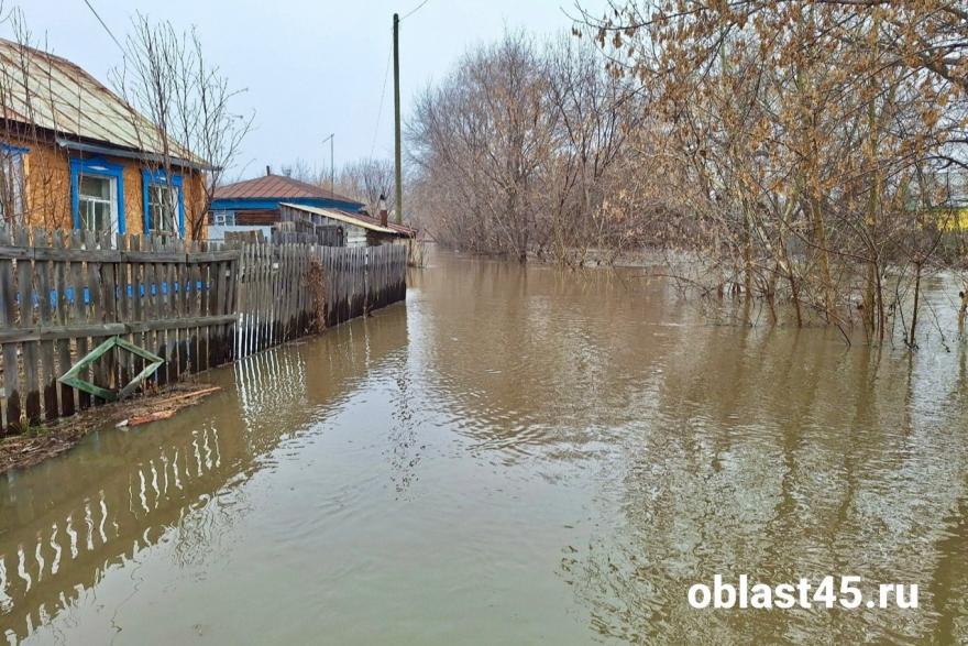 В Куртамыше уже затоплено почти 26 жилых домов